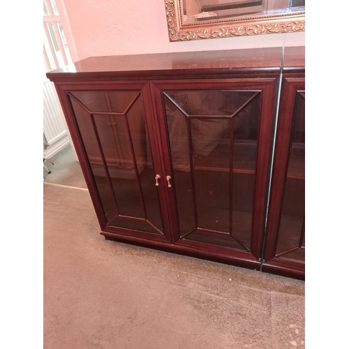 114 - Glazed 2 Door Bookcase