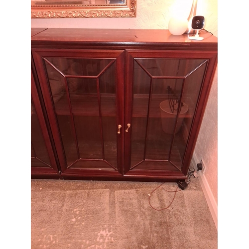 115 - Glazed 2 Door Bookcase