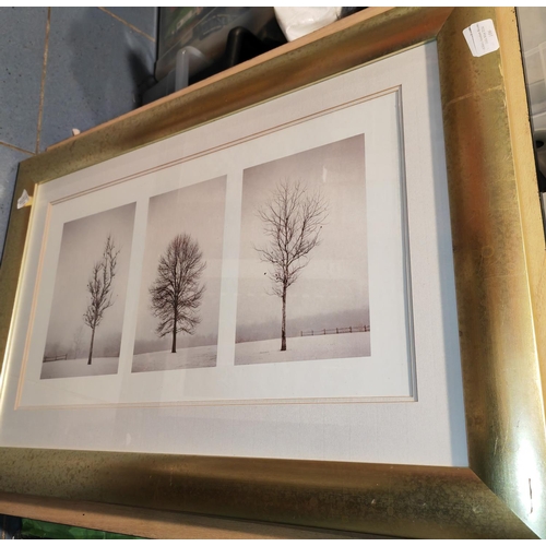 106 - Framed Print Of A Collage Of 3 Trees