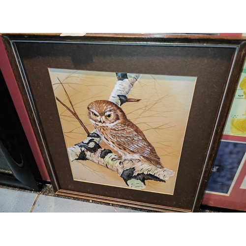 108 - Framed Watercolour Of A Owl By Alan Fairbrass No Glass