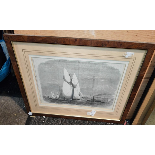 105 - Framed Print Of The Schooner Match On The Royal Thames In Gravesend