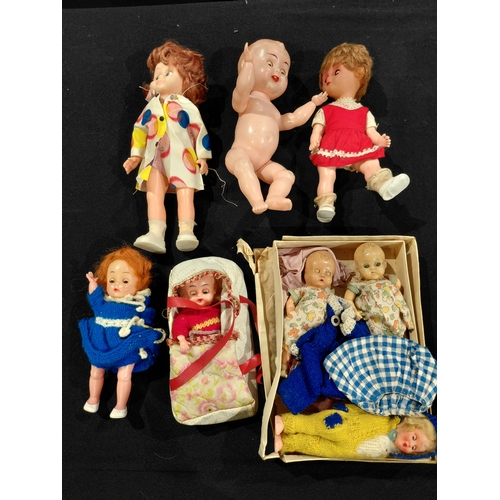 Lot 23        