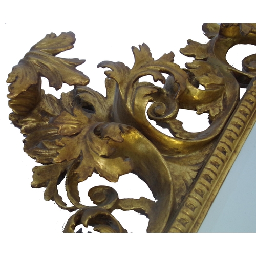 536 - Impressive well carved Florentine mirror, with deep scrolled gilt and gesso acanthus, later bevelled... 