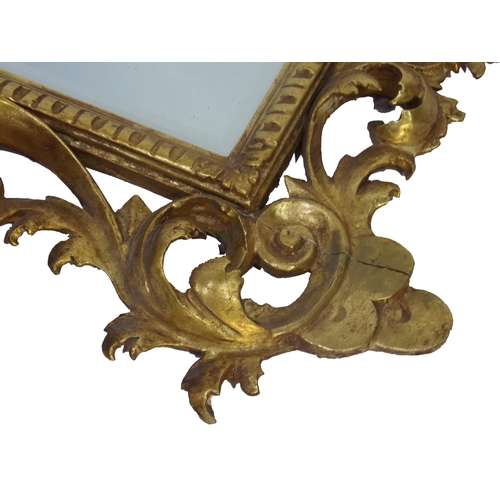 536 - Impressive well carved Florentine mirror, with deep scrolled gilt and gesso acanthus, later bevelled... 