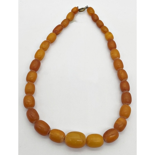 303 - Graduated butterscotch amber bead necklace, 35cm long, 21.2g approx