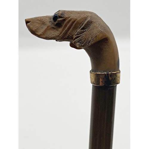 138 - Early 20th century red parasol, with finely carved horn dog head knop, 72cm long