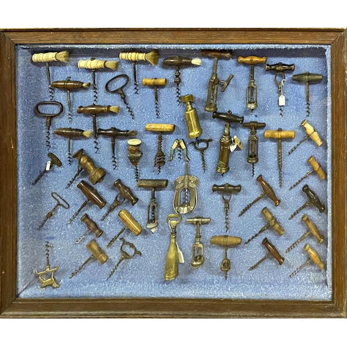 167 - Bespoke antique corkscrew diorama comprising 46 corkscrews to include Dowler Patent, novelty sailor ... 