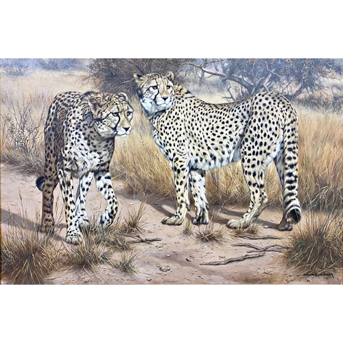 614 - Willem Sternberg de Beer (b. 1941, South African) - Two Cheetahs, signed, oil on canvas, 59 x 89.5cm... 