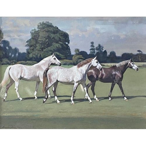 645 - Alexander Charles-Jones (b. 1959) - Three Polo Ponies, signed, gouache, 52 x 72cm, framed