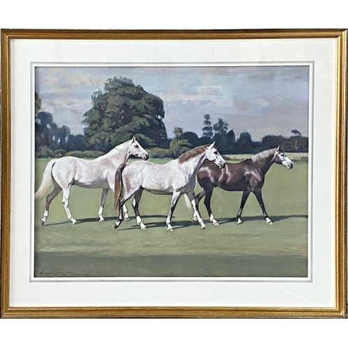 645 - Alexander Charles-Jones (b. 1959) - Three Polo Ponies, signed, gouache, 52 x 72cm, framed