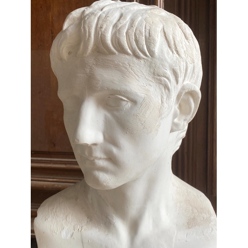 578 - Classical plaster bust of Caesar Augustus, 69cm high