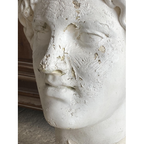 581 - Good antique plaster bust of Alexander the Great, 73cm high