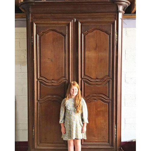 580 - Massive 19th century French fruitwood armoire, moulded cornice over fancy panelled doors enclosing a... 