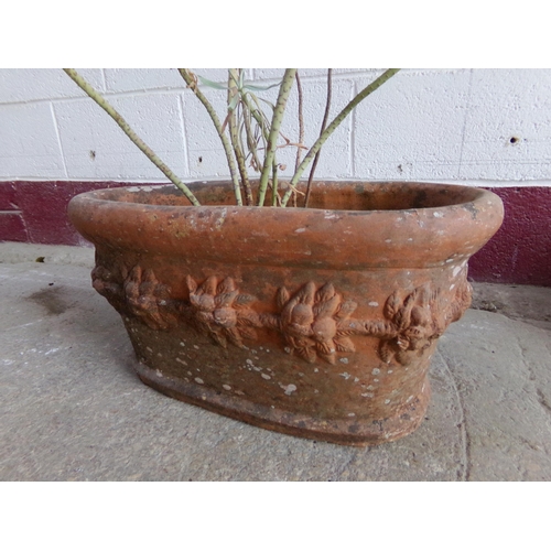 20 - Terracotta oval planter, repeating floral relief decoration, planted up, 26 high x 52cm long