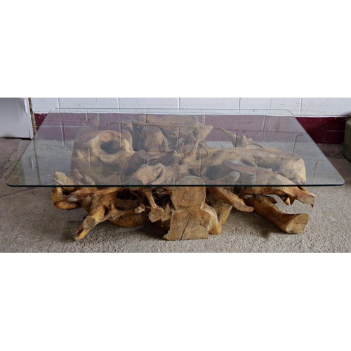 44 - Naturalistic teak root table, under a glass top, the root 83 wide 130 long 30 high