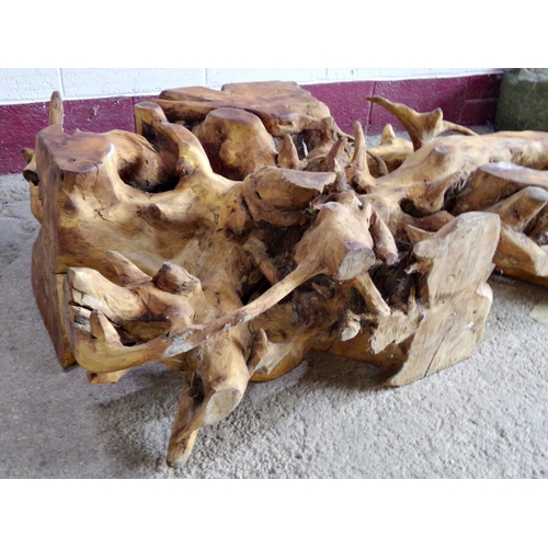 44 - Naturalistic teak root table, under a glass top, the root 83 wide 130 long 30 high