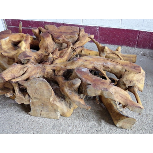 44 - Naturalistic teak root table, under a glass top, the root 83 wide 130 long 30 high