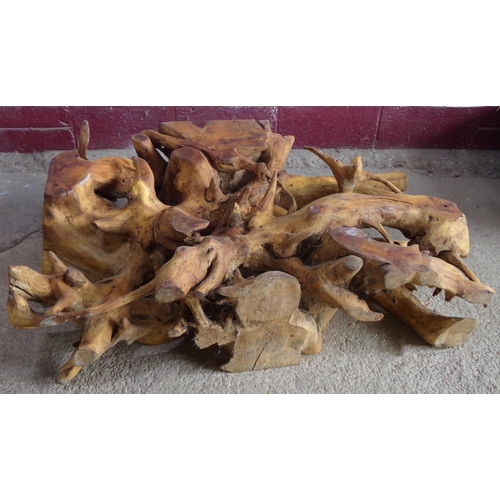 44 - Naturalistic teak root table, under a glass top, the root 83 wide 130 long 30 high