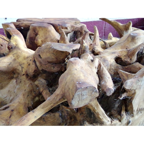 44 - Naturalistic teak root table, under a glass top, the root 83 wide 130 long 30 high