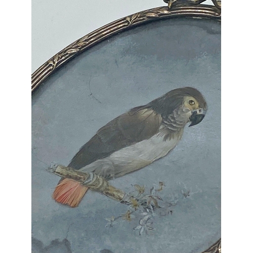 354 - Good miniature study of a grey parrot made with feathers on a hand painted branch, within a silver p... 