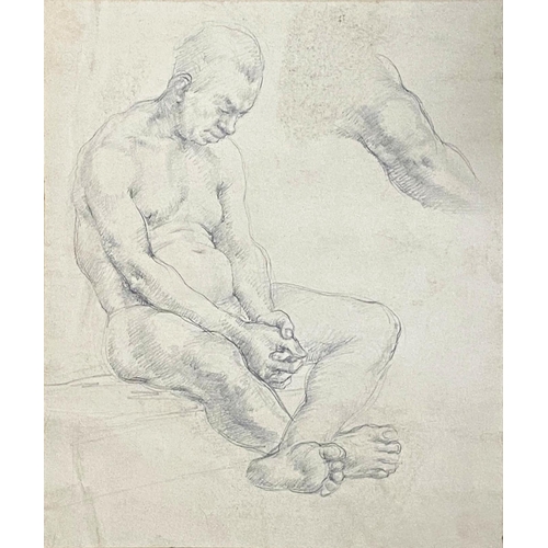 1341 - Constance-Anne Parker (1921-2016) - seated nude male, unsigned, graphite study, 33 x 28cm mounted, u... 