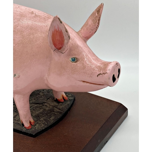 422 - Early 20th century butcher's shop window advertising model of a standing pig upon an oak plinth base... 