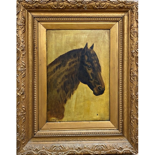 1308 - Early 20th century school - bust portrait of a pony, monogrammed WH and dated 1901, oil on canvas, 3... 