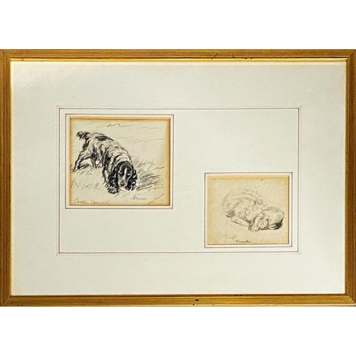 1310 - Lucy Dawson (1875-1954) - two pencil studies of a Cocker Spaniel, 11.5x12.5cm, and a Pekingese 'Toot... 