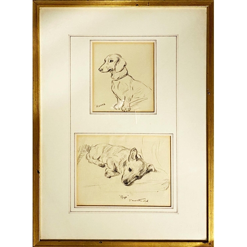 1311 - Lucy Dawson (1875-1954) - pencil study of a Dachshund 'Azore', 14.5x12cm, and one other 'Gyp- 5 mont... 