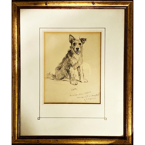 1313 - Lucy Dawson (1875-1954) - pencil study of a a dog, 'Corky' belonged to W. Henry East of California, ... 