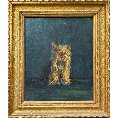 1322 - 20th century school - portrait of a seated Yorkshire Terrier, oil on canvas, 44 x 34cm, framed