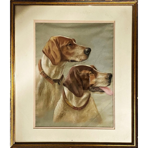 1327 - 20th century school - bust study of two Pointers, unsigned, pastel, 33 x 25cm, framed