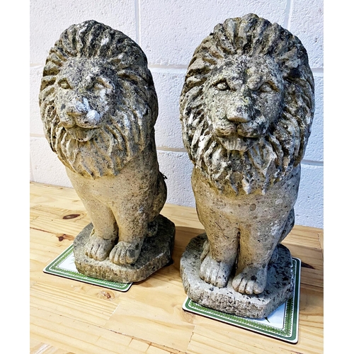 1013 - Good pair of reconstituted stone seated lions, 53cm high