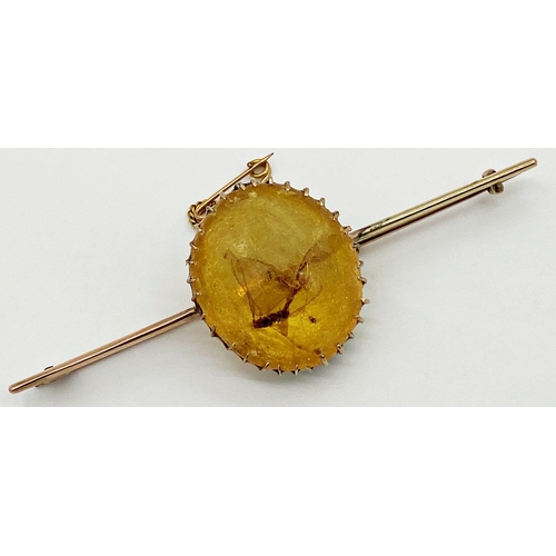 174 - An interesting antique yellow metal bar brooch set with a central piece of amber, two insects captur... 