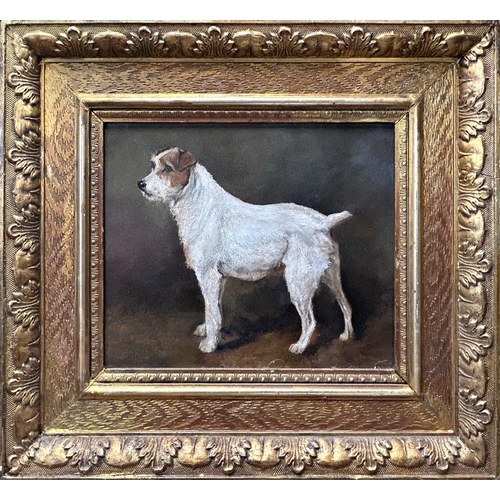 1515 - John Emms (1844-1912) - Portrait of a standing Jack Russell Terrier, unsigned, oil on board, 19 x 24... 