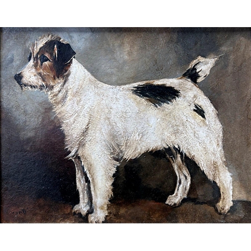 1516 - John Emms (1844-1912) - Portrait of a standing Jack Russell Terrier, unsigned, oil on board, 16.5 x ... 