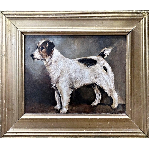 1516 - John Emms (1844-1912) - Portrait of a standing Jack Russell Terrier, unsigned, oil on board, 16.5 x ... 