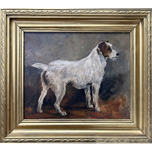 1517 - John Emms (1844-1912) - 'Shrimp' Portrait of a standing Jack Russell Terrier, unsigned, oil on board... 