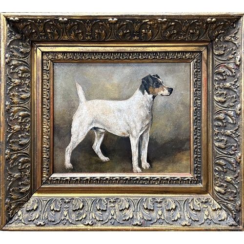 1519 - John Emms (1844-1912) - 'Charlie' Portrait of a standing Jack Russell Terrier, unsigned, titled vers... 