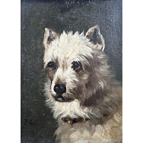 1520 - 19th century school - bust portrait of a terrier, monogrammed JC, oil on board, 21 x 14.5cm, giltwoo... 