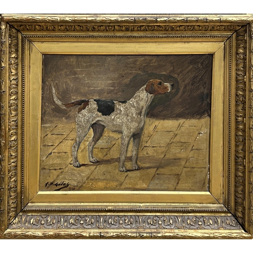 1524 - Geoffrey Douglas Giles (1857-1941) - Portrait of a standing foxhound, signed, oil on board, 26 x 34c... 