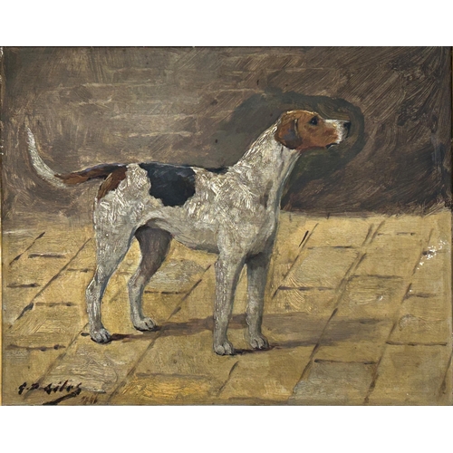 1524 - Geoffrey Douglas Giles (1857-1941) - Portrait of a standing foxhound, signed, oil on board, 26 x 34c... 