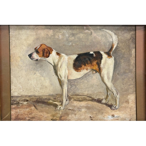 1525 - Possibly by John Emms (1843-1912) - 'Brusher' portrait of a standing foxhound, indistinctly signed, ... 