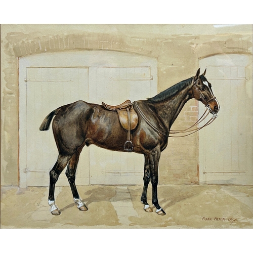 1539 - Frank Paton (1855-1909) -Portrait of a standing Show Hunter horse, signed and dated 1898, watercolou... 