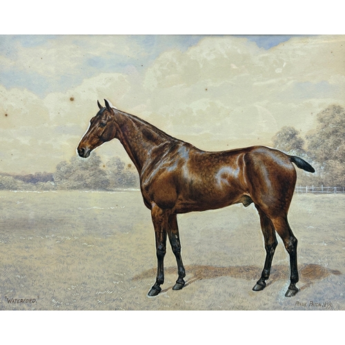 1540 - Frank Paton (1855-1909) - 'Waterford' Portrait of a standing horse, signed and dated 1899, watercolo... 