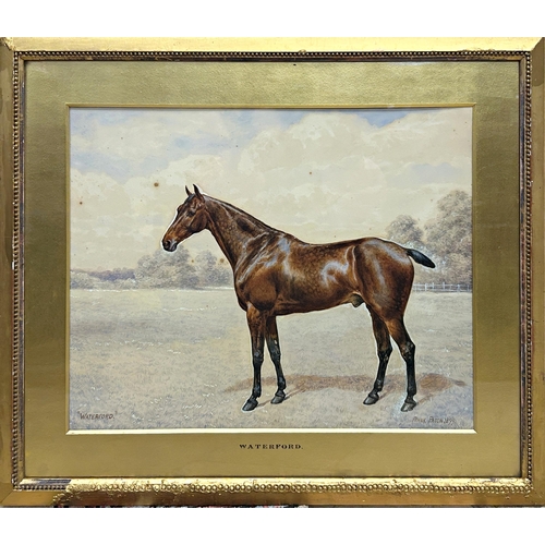 1540 - Frank Paton (1855-1909) - 'Waterford' Portrait of a standing horse, signed and dated 1899, watercolo... 