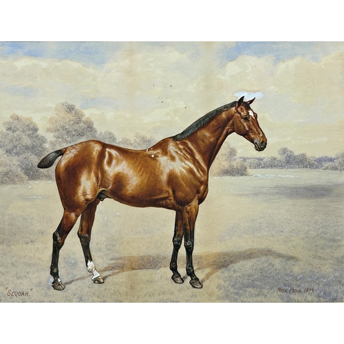 Lot 1541      