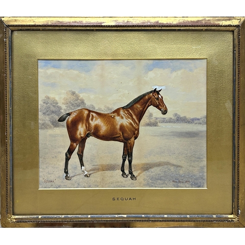 1541 - Frank Paton (1855-1909) - 'Sequah' Portrait of a standing horse, signed and dated 1899, watercolour,... 