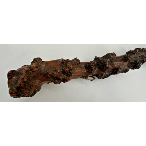 469 - Good antique hawthorn root walking stick, 89cm long