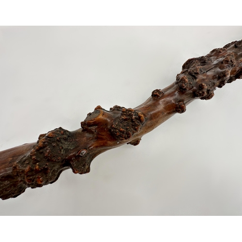 469 - Good antique hawthorn root walking stick, 89cm long